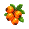 Amber Cranberry plant – Grow a Garden 2