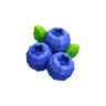 Blueberry plant – Grow a Garden 2