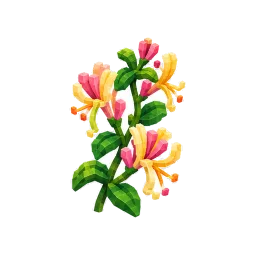 Honeysuckle plant – Grow a Garden 2