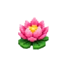Lotus plant – Grow a Garden 2