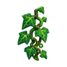Poison Ivy plant – Grow a Garden 2
