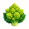 Romanesco plant – Grow a Garden 2